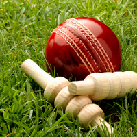 Cricket